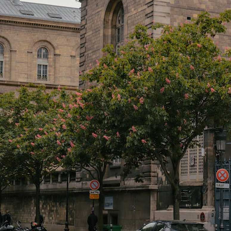 flight-destination-one flight-destination-one