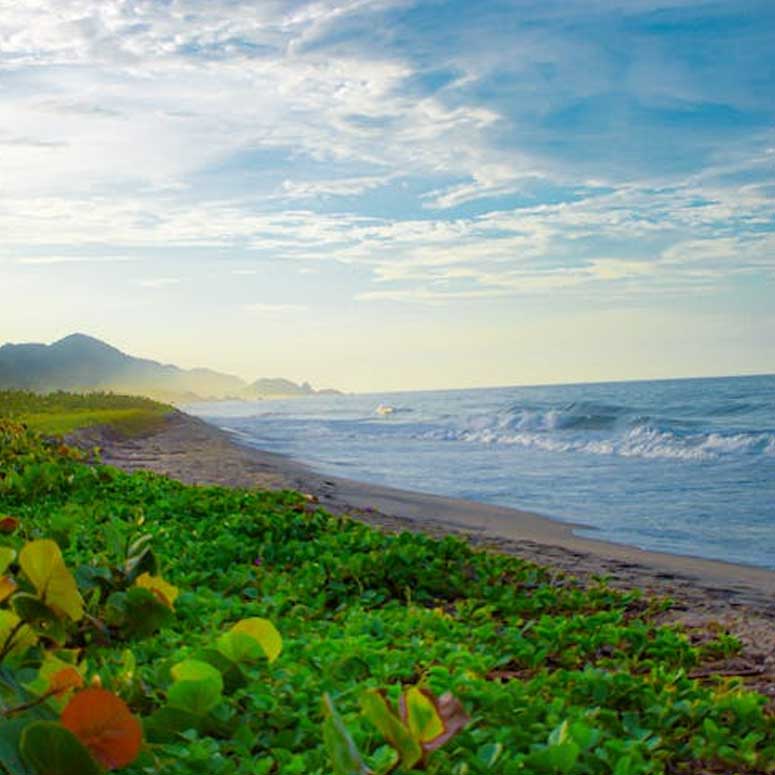 flight-destination-one flight-destination-one