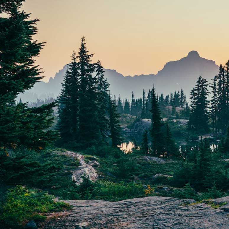 flight-destination-one flight-destination-one